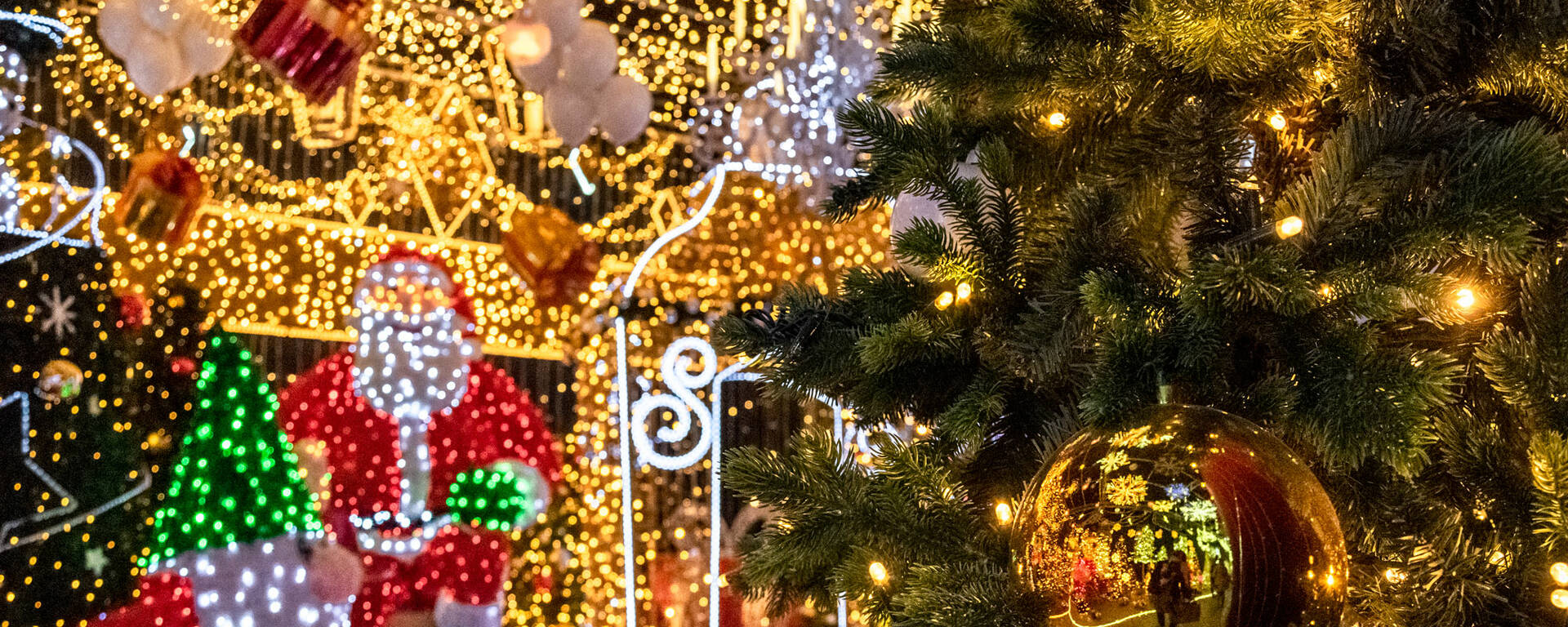 Noel illumination