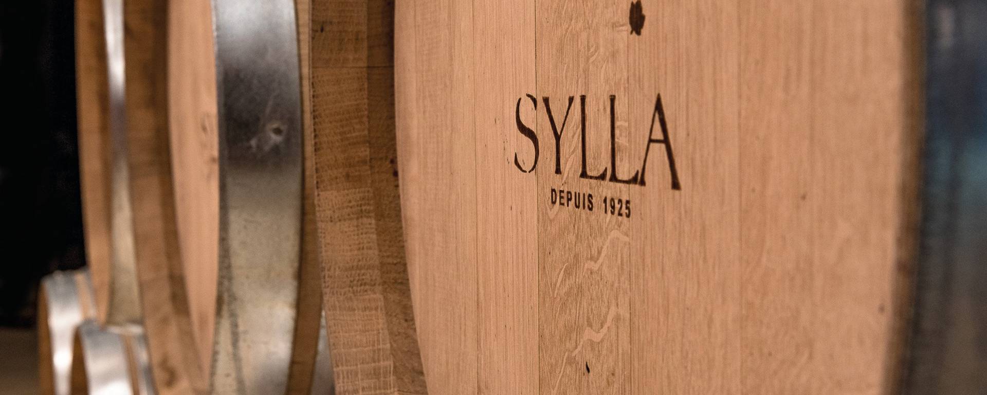 Cuves | Caveau | Cave de Sylla