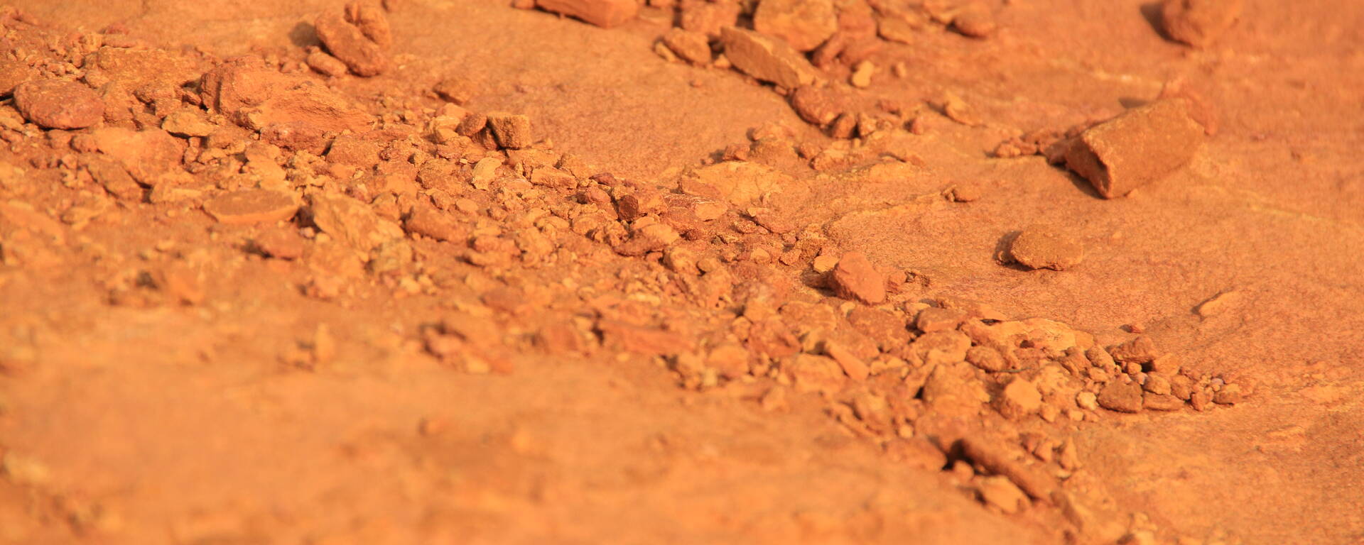 ocre | couleur | pigments | grain | terre