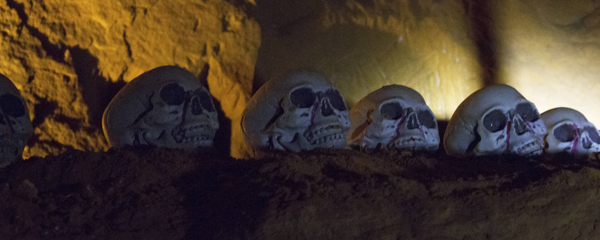 Halloween | Citrouille