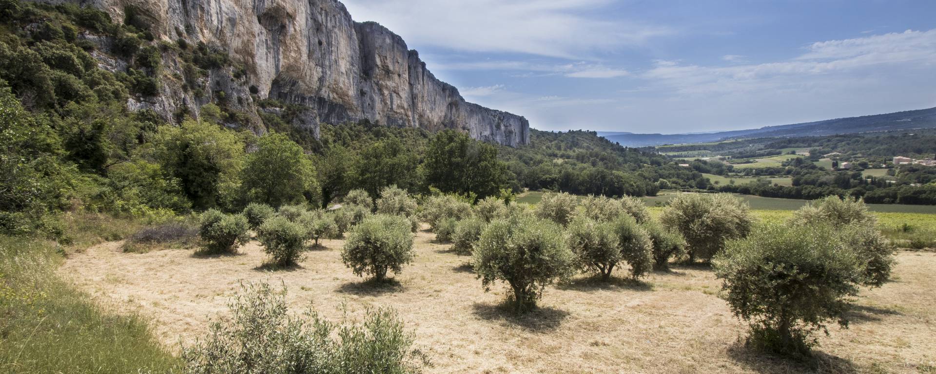 Falaise de la madeleine à Lioux 