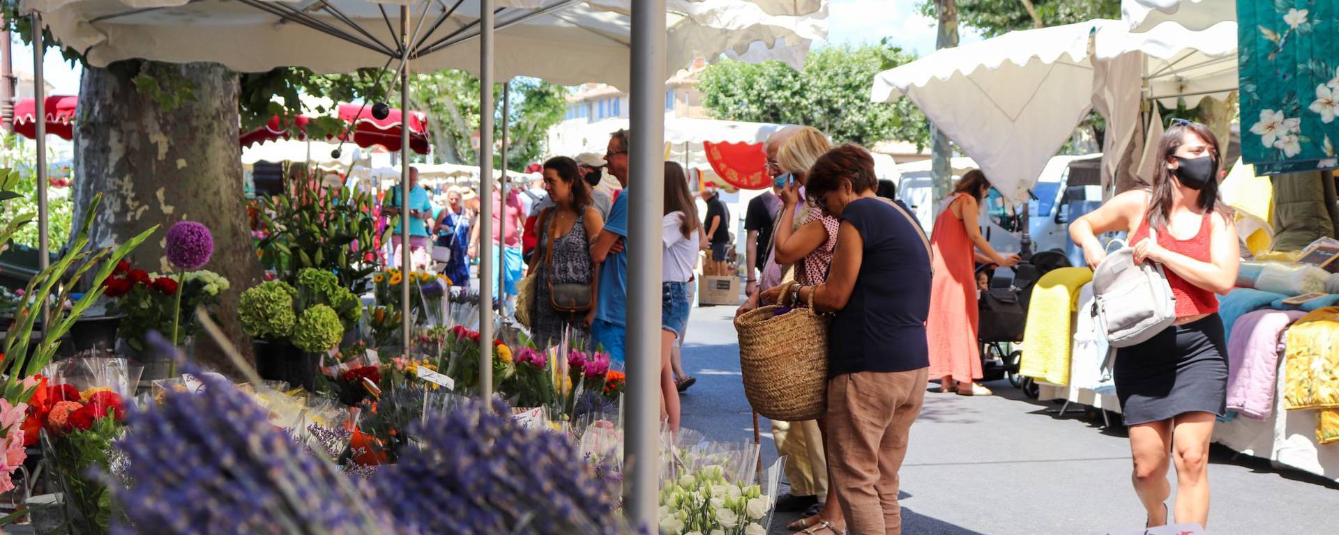 Marché d'Apt | Luberon - Place de la Bouquerie | Étals | Fleurs 