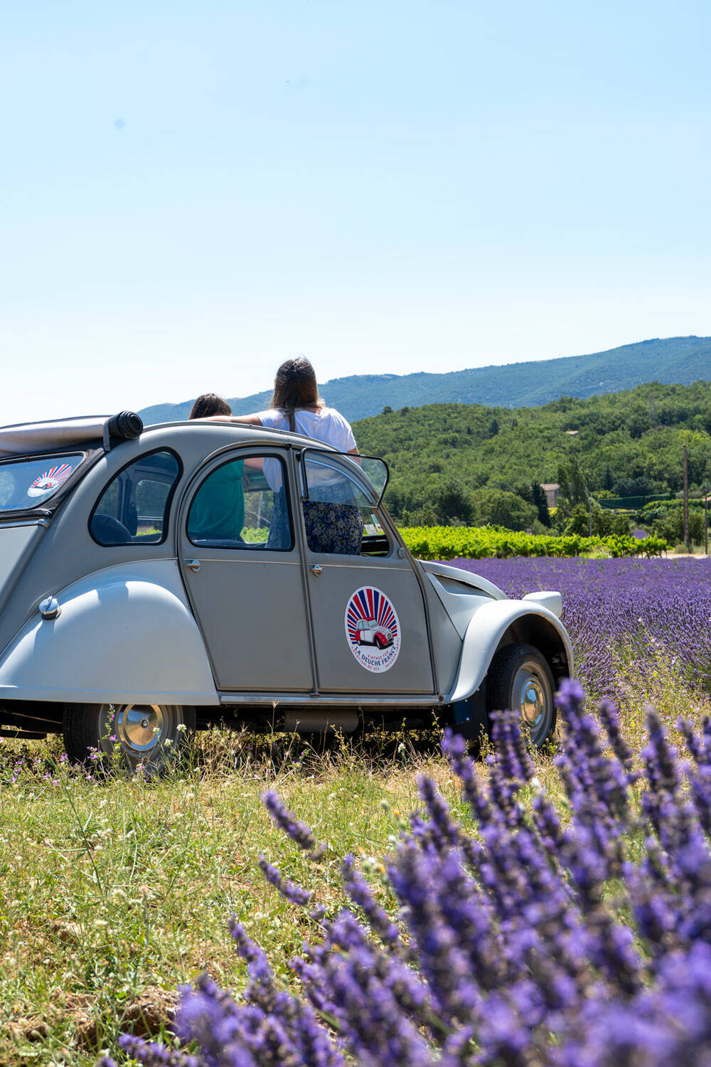 Deuche dans les lavandes du Luberon