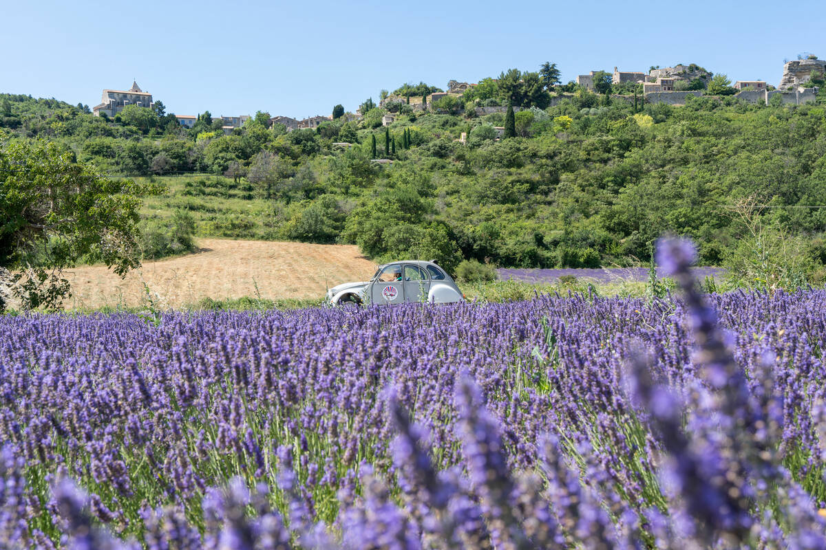 Faire de la 2cv dans le Luberon
