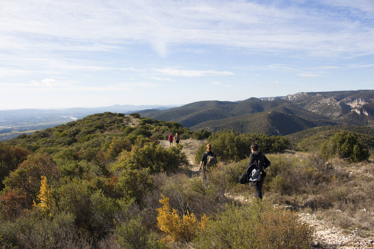 Randonneurs en Luberon