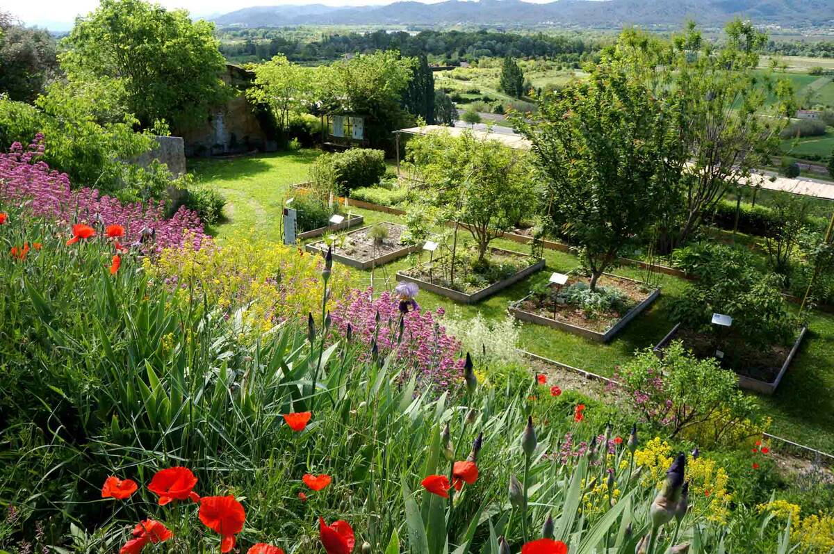 Jardin Conservatoire des Plantes Tinctoriales