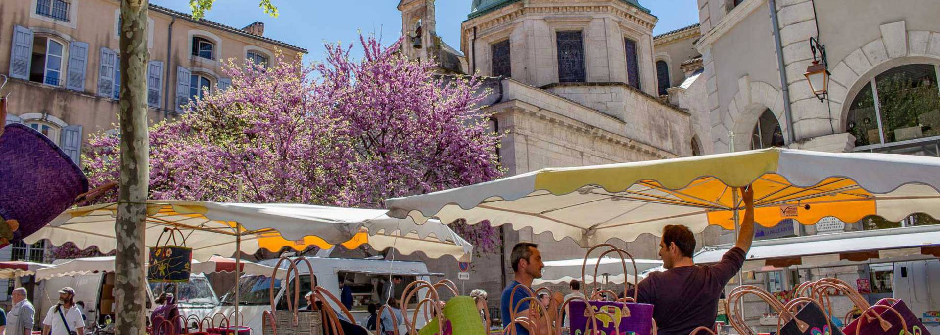 Marché d'Apt | Cathédrale Sainte-Anne| Sac | Panier | Exposants