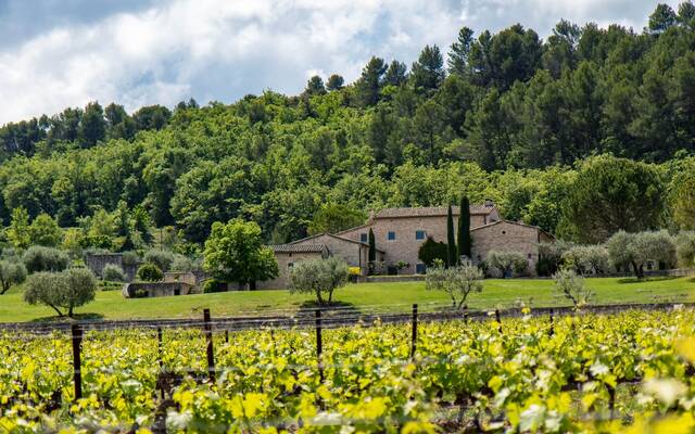 Vin | AOC Luberon | Mas Edem