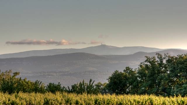 Montagne | Vignes | Vue | Mont Ventoux