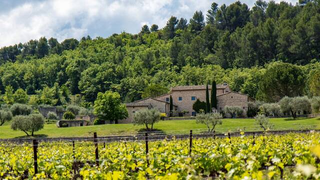 Vin | AOC Luberon | Mas Edem