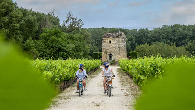 RÉSERVEZ VOTRE EXPÉRIENCE DANS LE LUBERON 