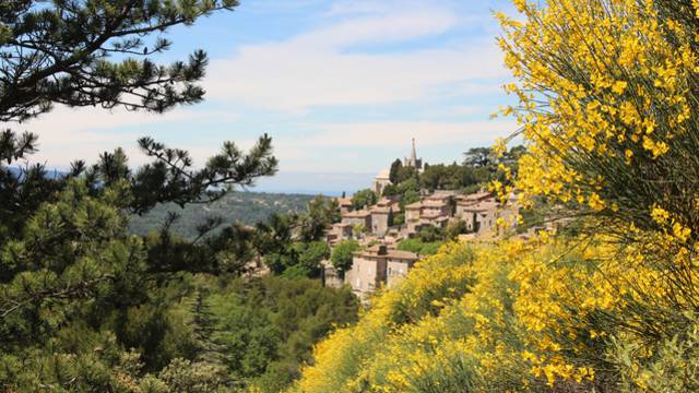 Village de Bonnieux | Vue | Luberon | Genêts