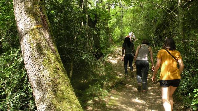 Randonnées dans le Luberon | Vallon de L'Aiguebrun 