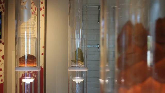Musées|Luberon | Visites | Découvertes | A faire | Incontournable du Luberon 