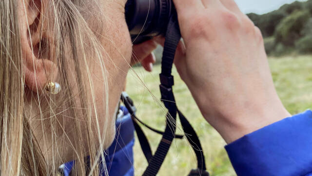 Oiseaux | Ornithologie | Luberon