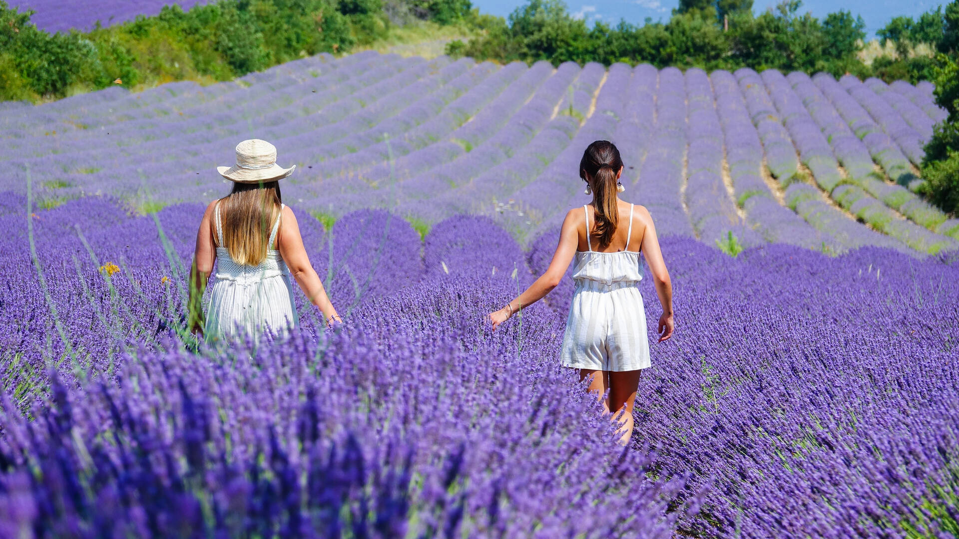 Champs de Lavande du Luberon | Femmes | Balade 