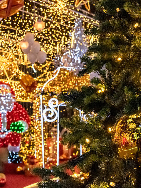 C'est Noël chez Blachere Illumination !