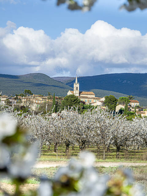 Séjour hors saison en Pays d'Apt Luberon 