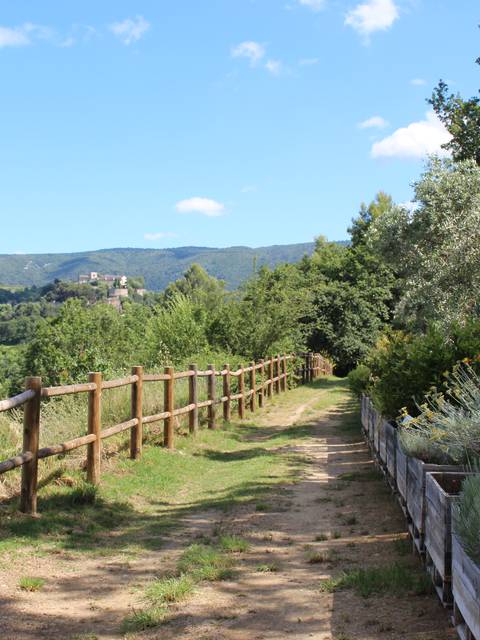Jardin botanique | Ménerbes | Luberon