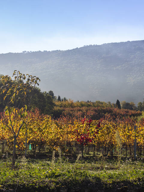 Séjour hors saison en Pays d'Apt Luberon 