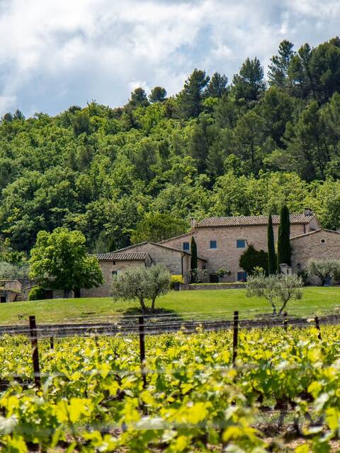 Vin | AOC Luberon | Mas Edem