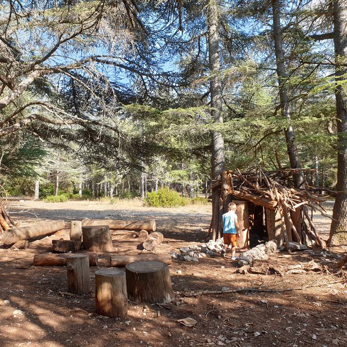 Forêt des Cèdres | Sentier du Portalas | Nature | Arbre | Bois | Cabane 