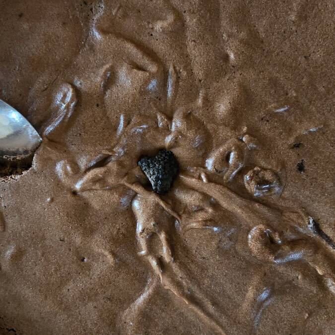 Mousse au chocolat | truffe