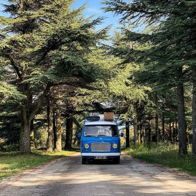 Camping-car | Van | Forêt