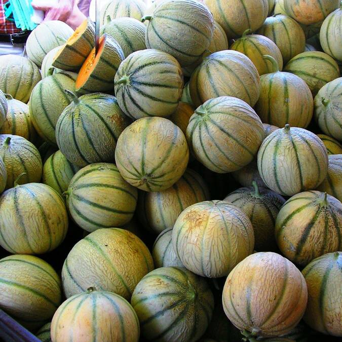 melons