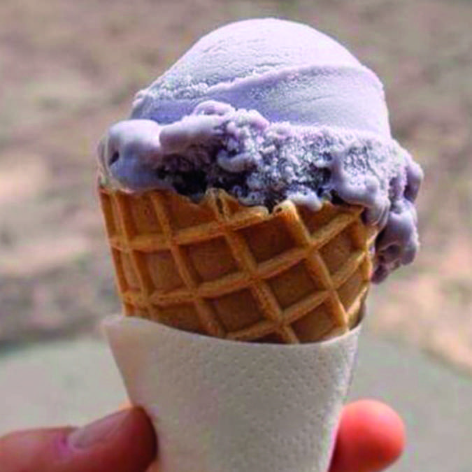 Glace | Lavande
