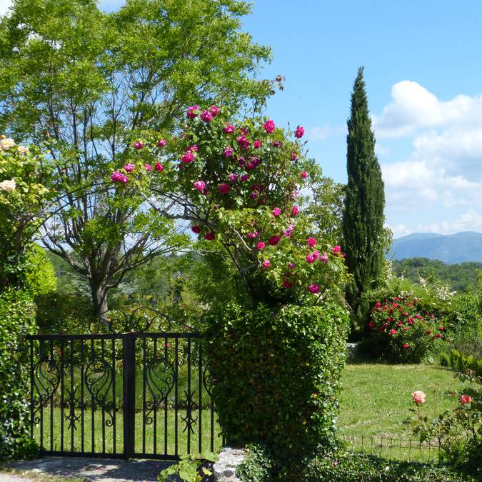 Village d'Auribeau dans le Luberon 