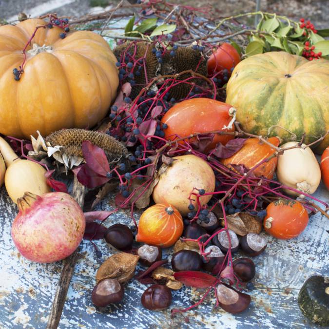 Décoration | Automne |  Citrouille | Courge 