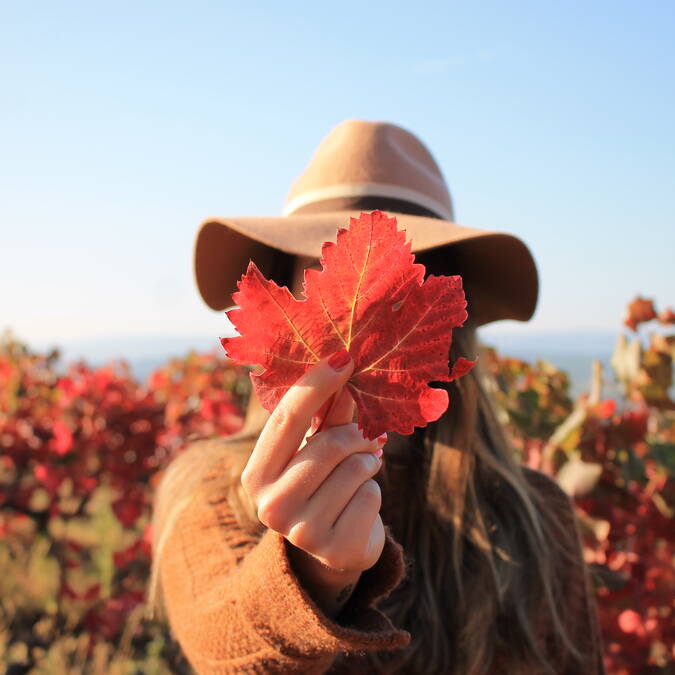© Office de Tourisme Pays d'Apt Luberon automne