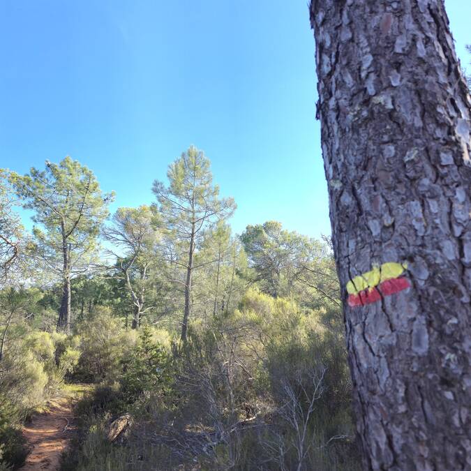 balisage | sentier | randonnée 