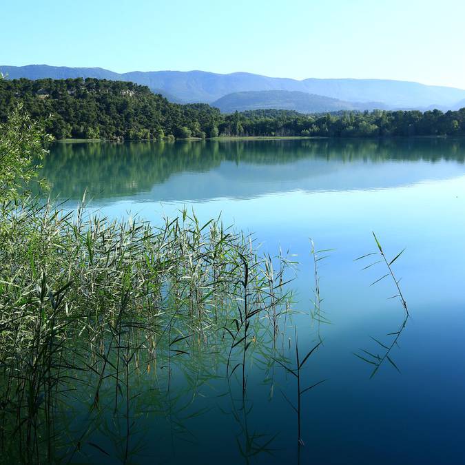 Plan d'eau | Baignade