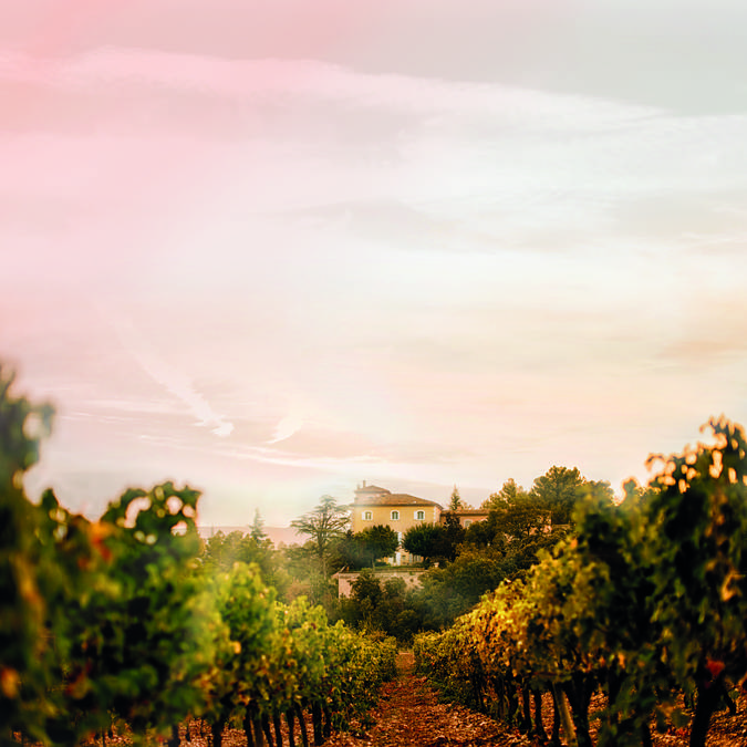 Château - Domaine Viticole du Luberon