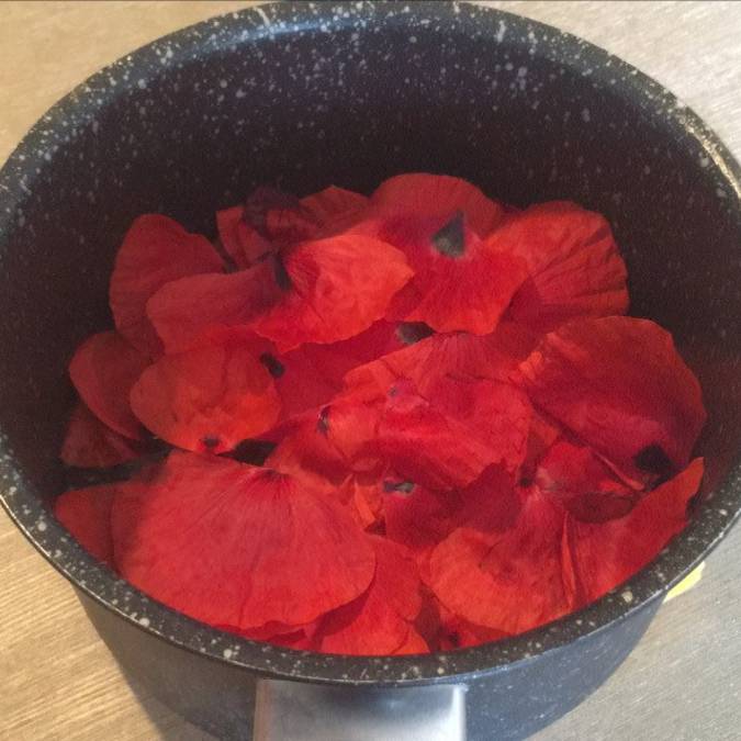 Coquelicot | Recette | Casserole| Sirop | Pétale