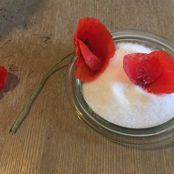 Coquelicot | Recette | Sucre| Sirop | Pétale