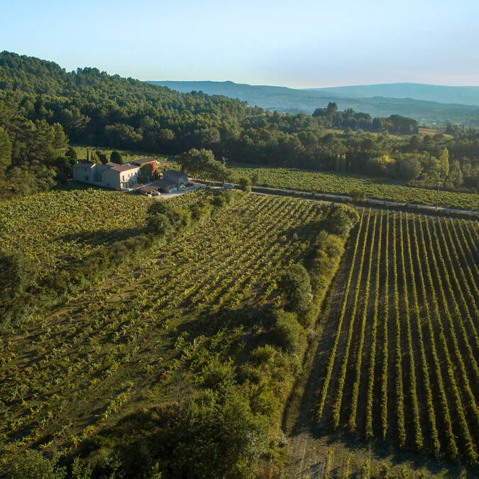 Vignobles Ventoux