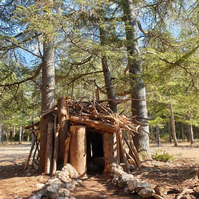 Forêt | Luberon | Cabane
