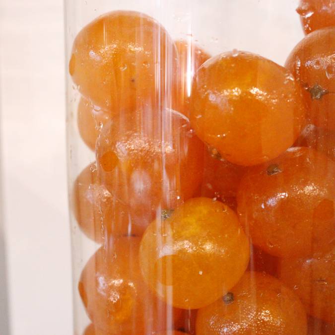 Fruits confits 