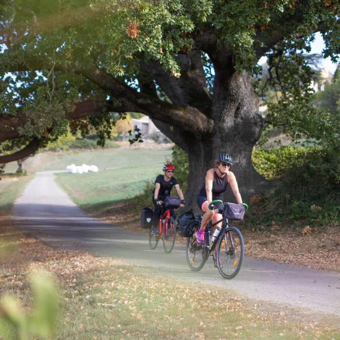 cycliste | vélo | paysage | route
