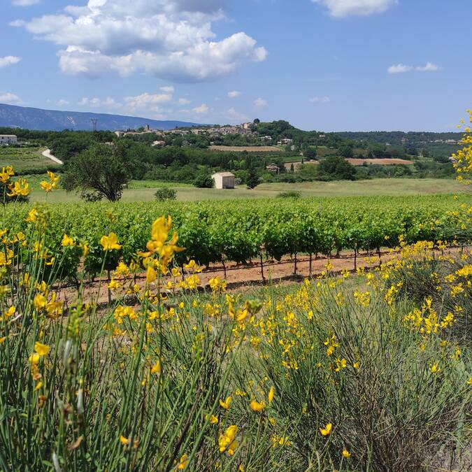 village | paysage 