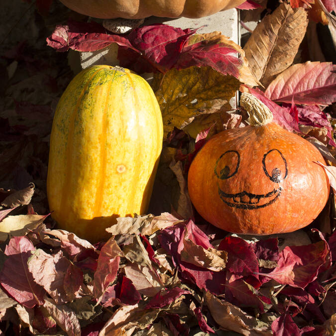 Halloween | Citrouille