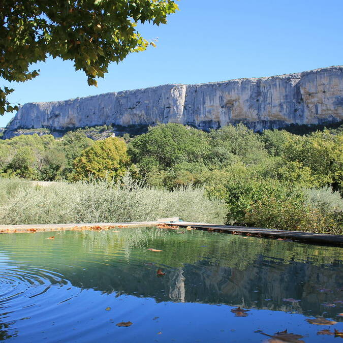 Falaise | Lioux | Nature