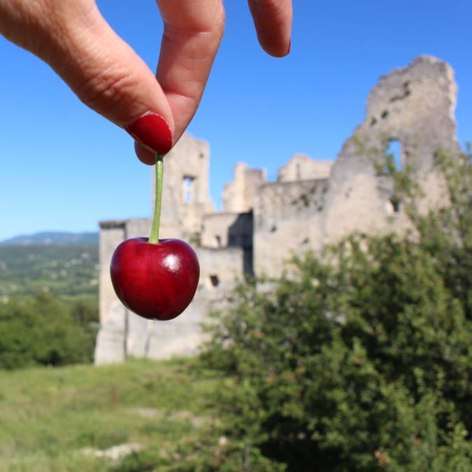 Cerise du Luberon | Lacoste | Château de Lacoste | Vallée | Vue