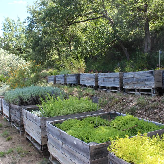  Jardin botanique | Ménerbes