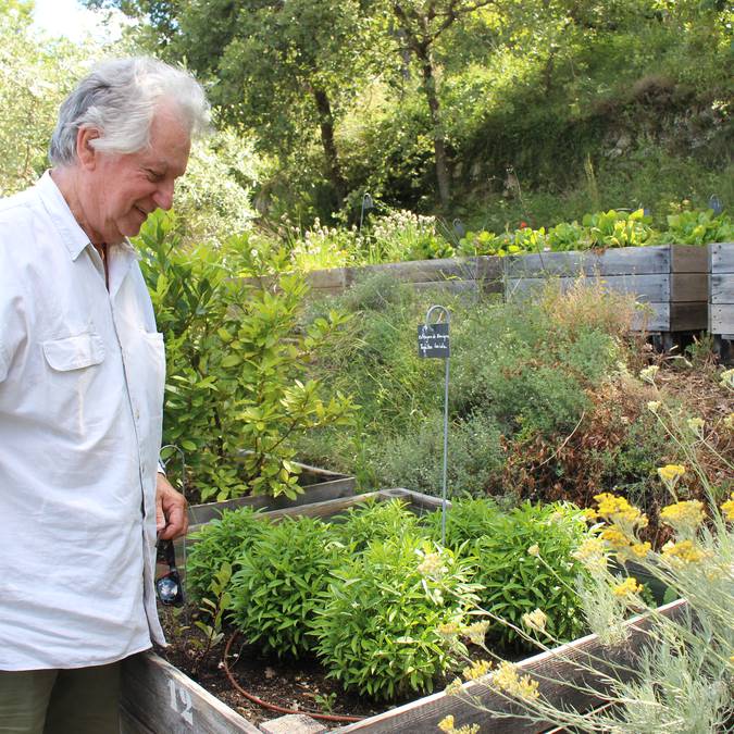 Yves Rousset Rouard  | Jardin botanique 