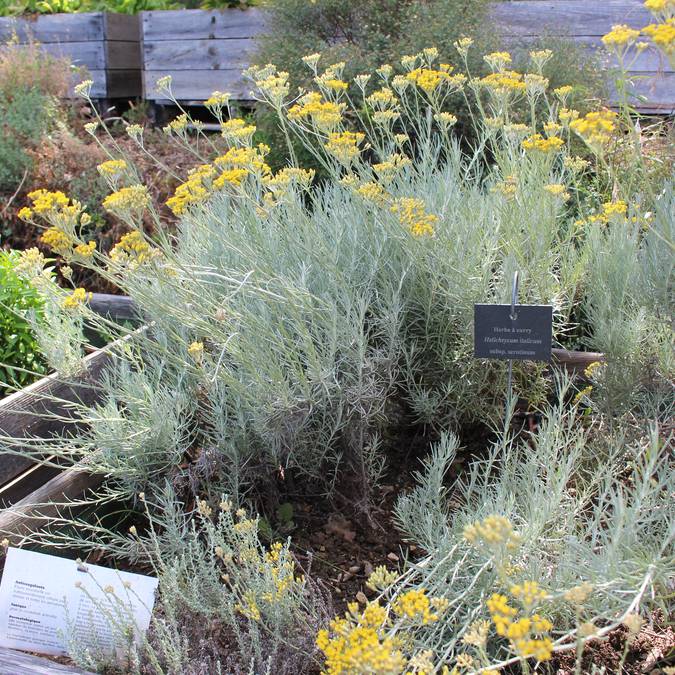  Jardin botanique | Ménerbes