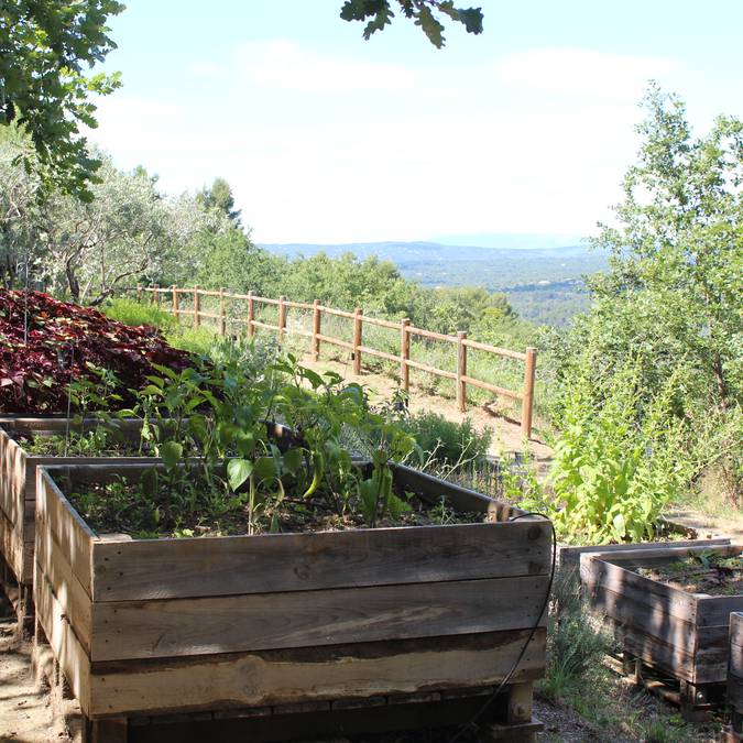  Jardin botanique | Plantes aromatiques